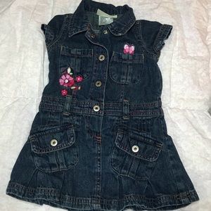 Denim Dress with flowers and butterfly design